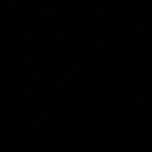 Meet your Posher, Reagan